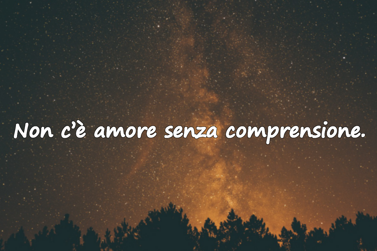 Frasi sull’Comprensione