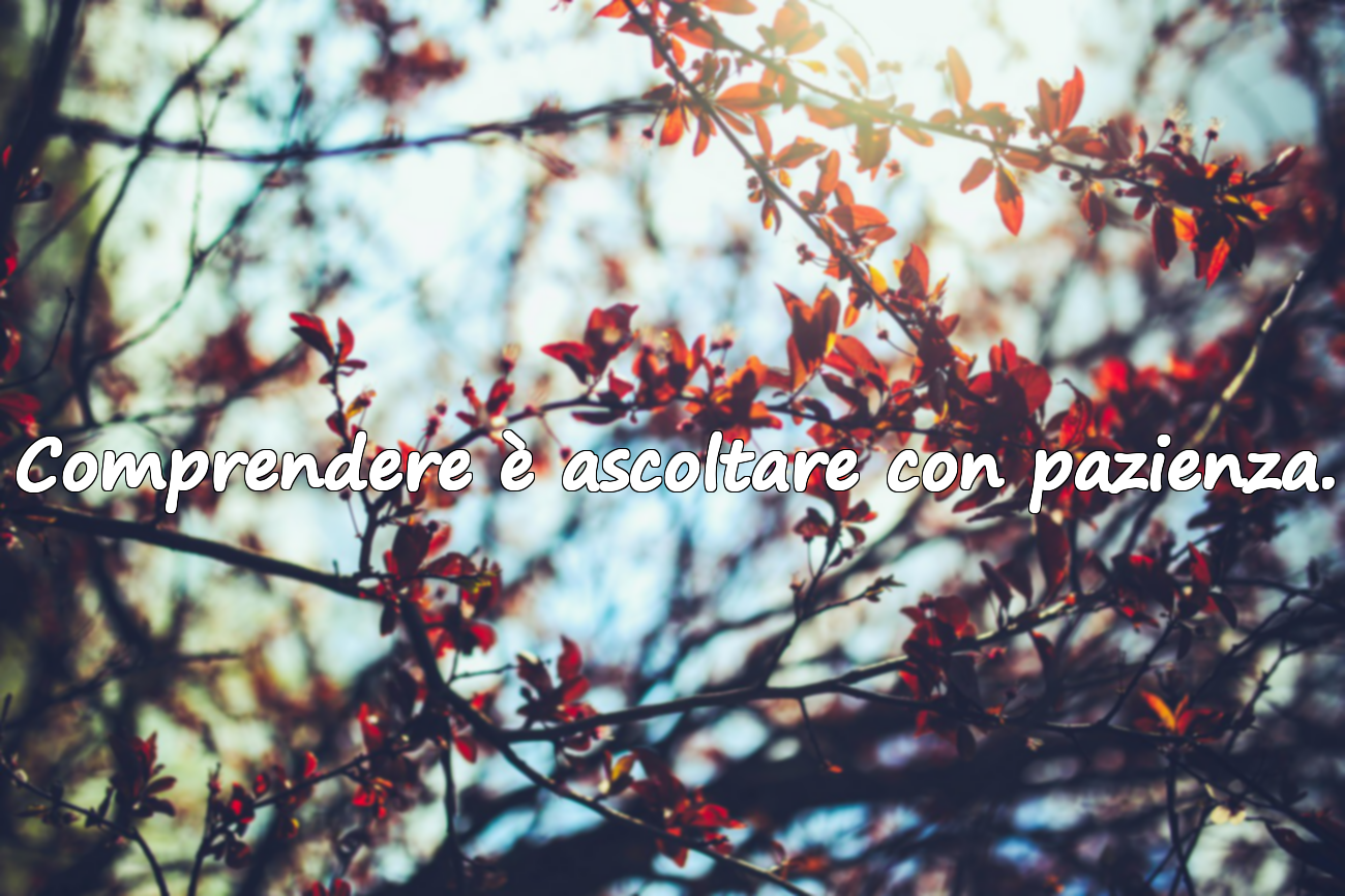 Frasi sull’Comprensione