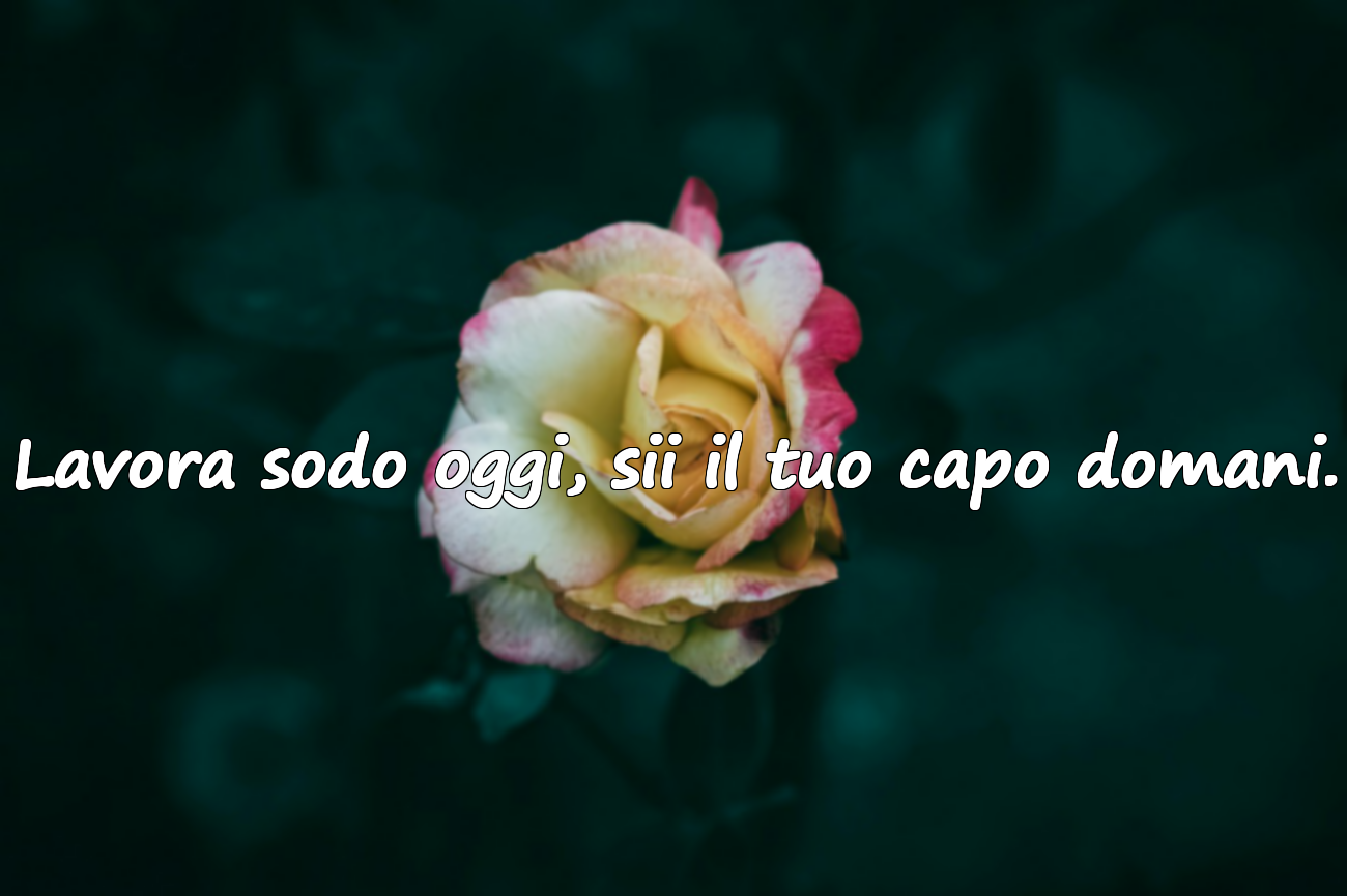 Lavora sodo oggi, sii il tuo capo domani.
