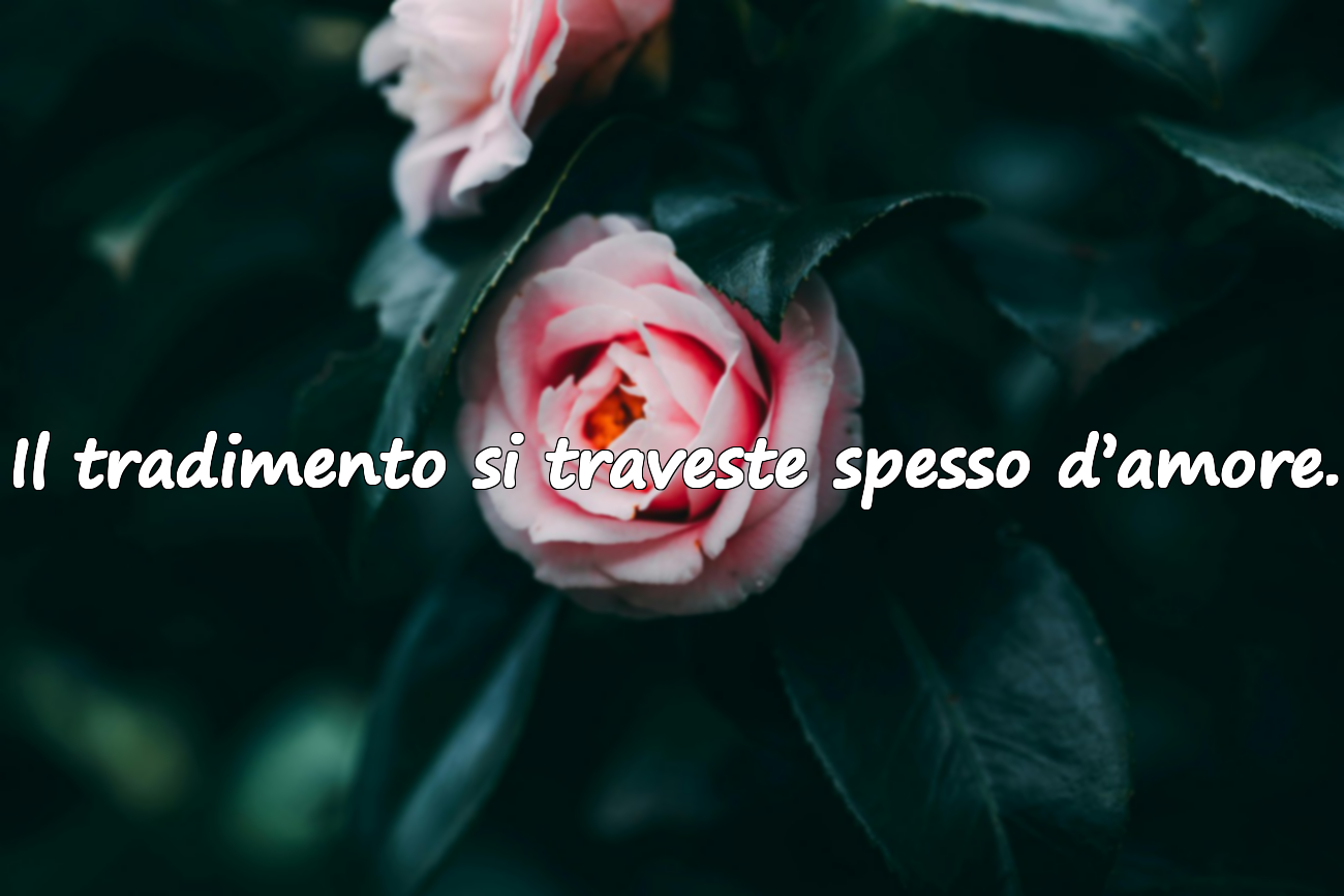 Il tradimento si traveste spesso d’amore.