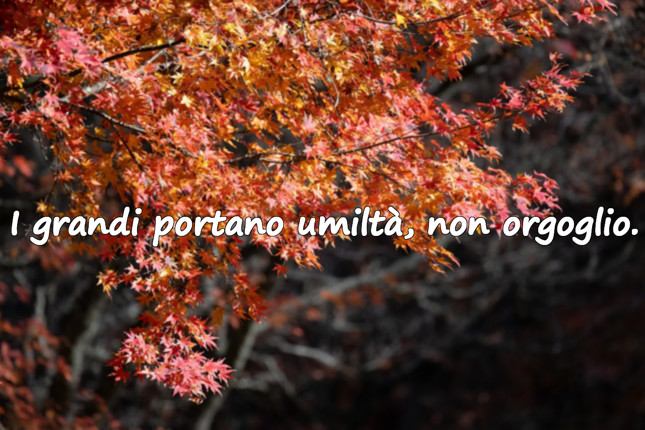 Frasi sull’orgoglio