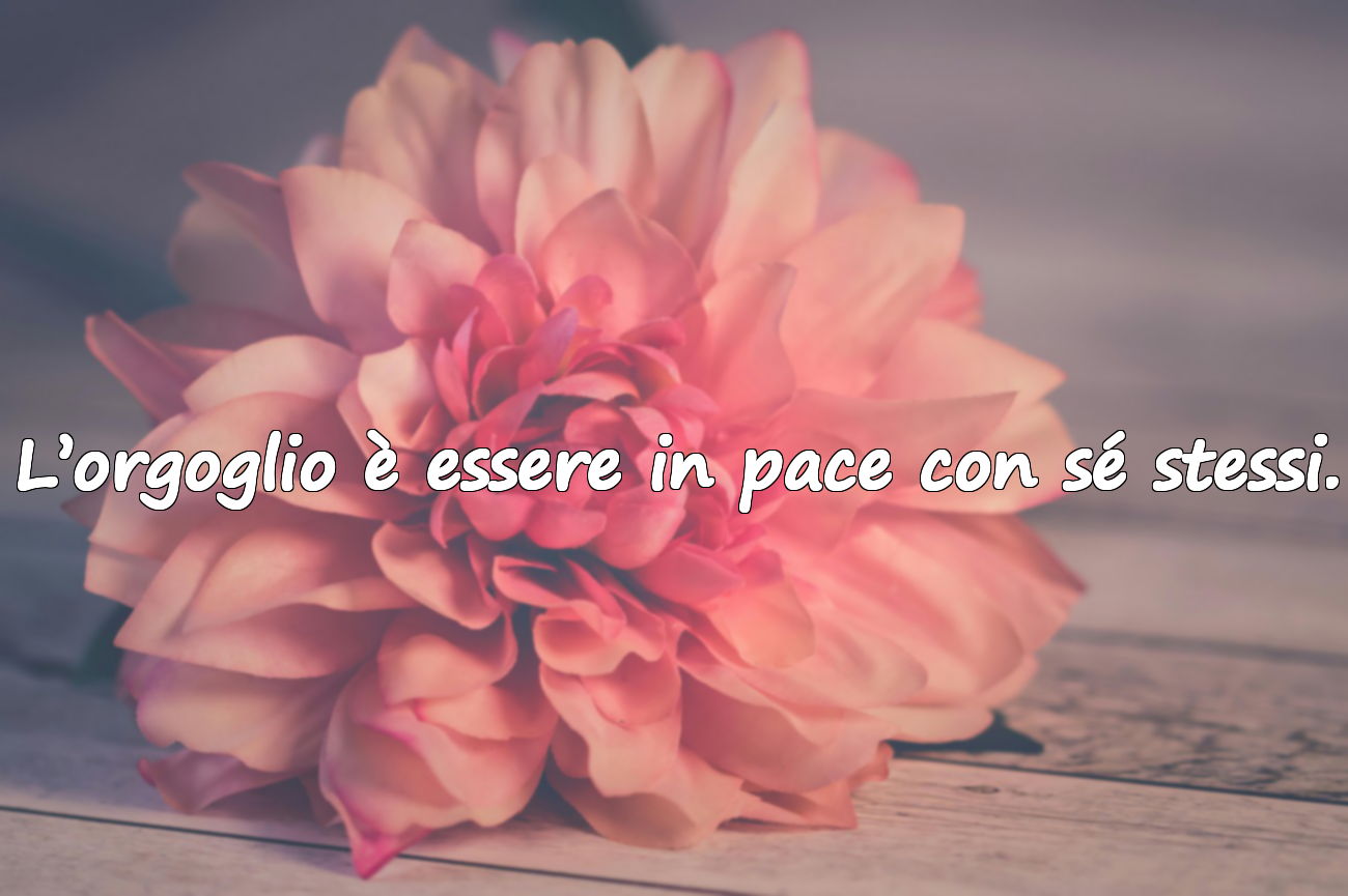 Frasi sull’orgoglio