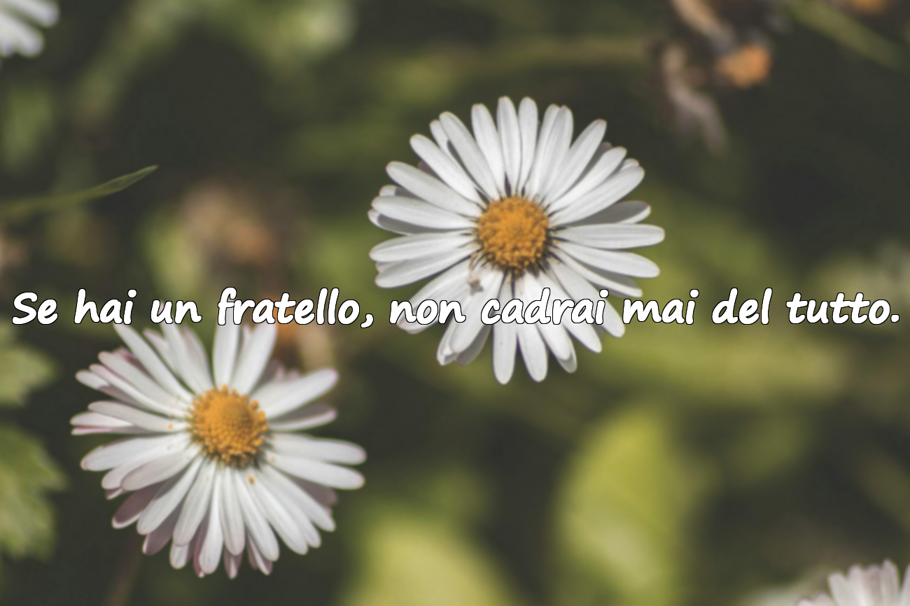 Se hai un fratello, non cadrai mai del tutto.