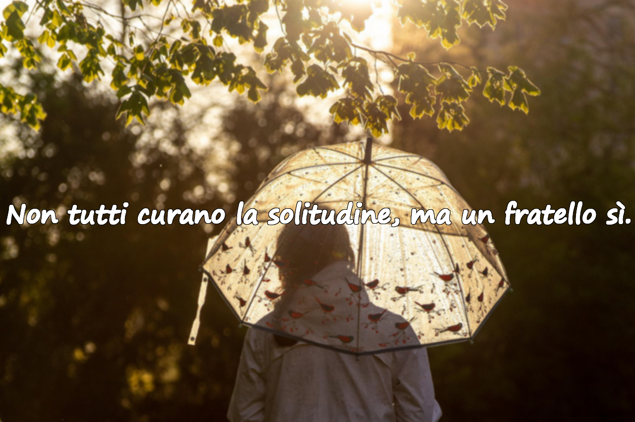 Non tutti curano la solitudine, ma un fratello sì.