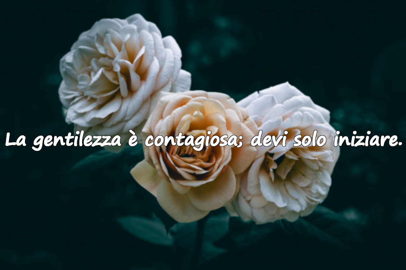 Frasi sulla Gentilezza