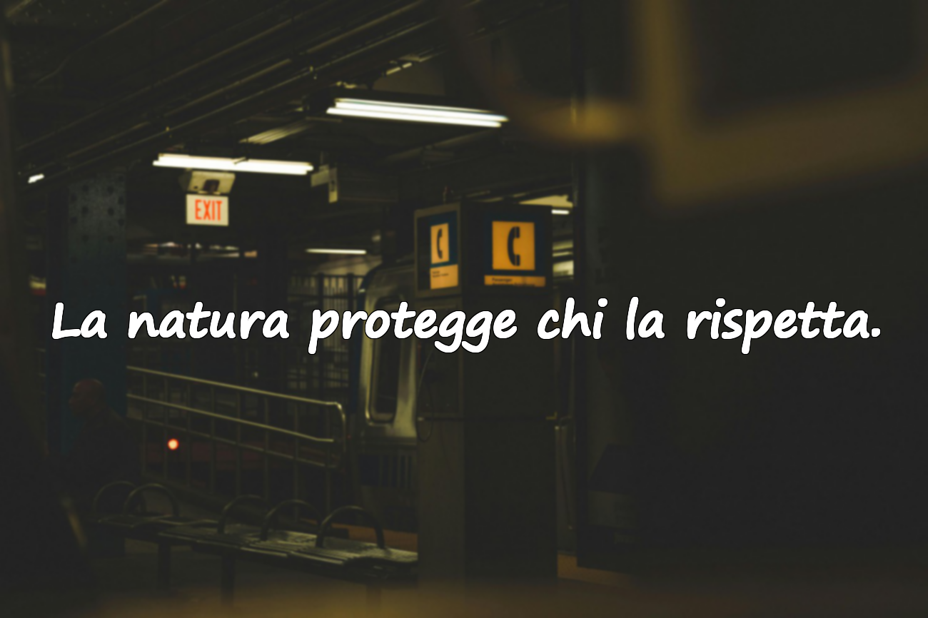 Frasi sulla Natura e sul Verde