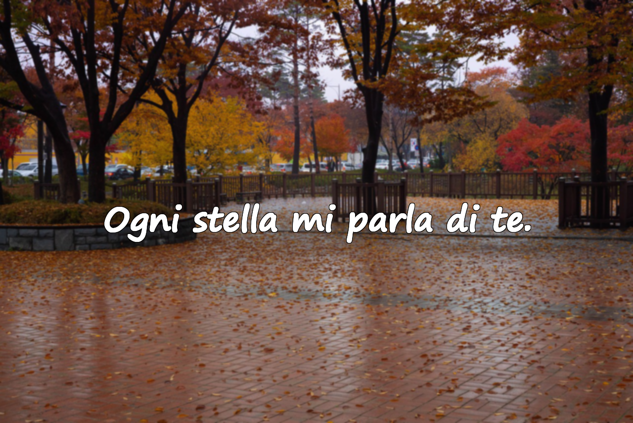 Frasi sulla Sera
