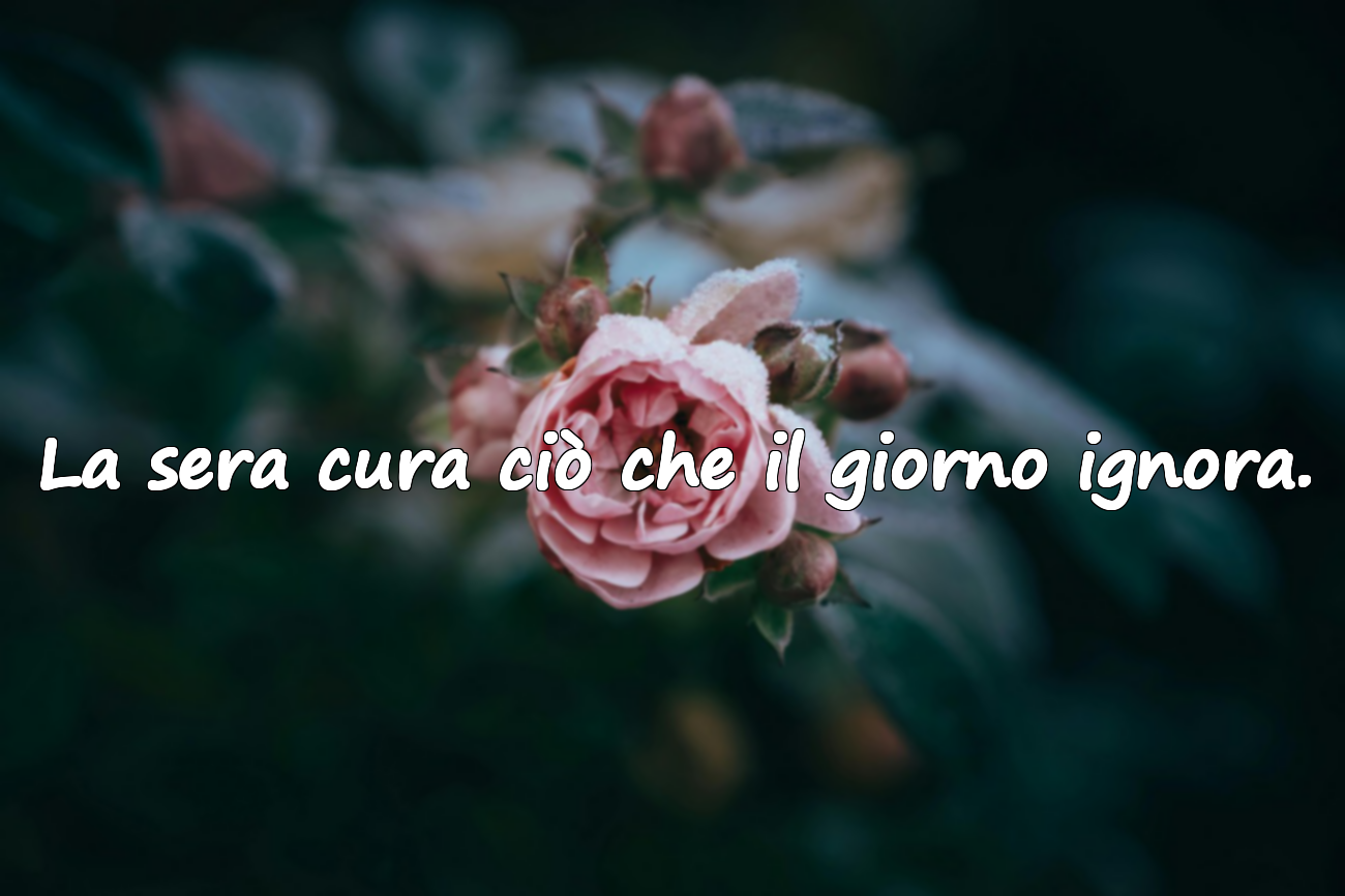 Frasi sulla Sera