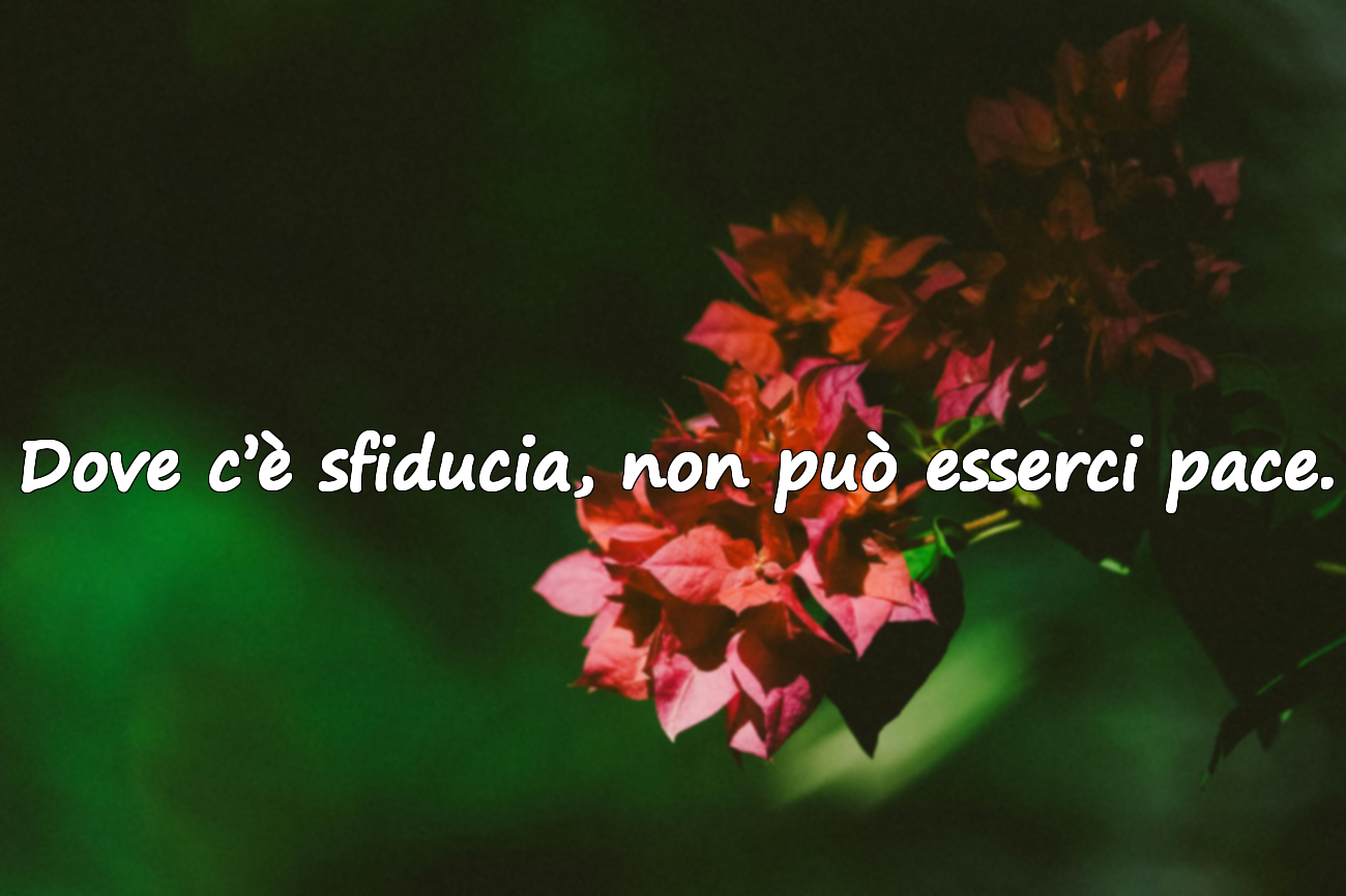 Frasi sulla Sfiducia