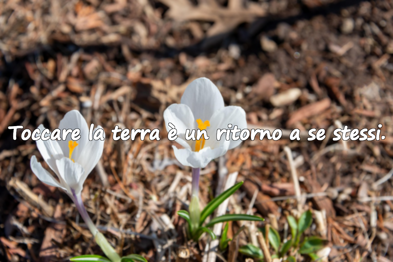Frasi sulla natura