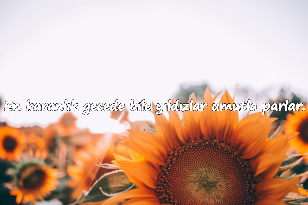 En karanlık gecede bile yıldızlar umutla parlar.