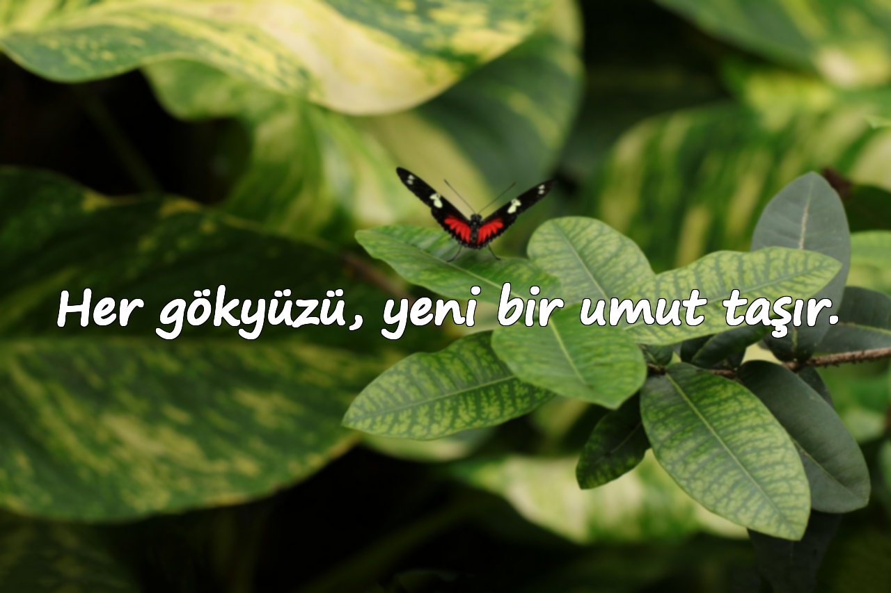 Her gökyüzü, yeni bir umut taşır.