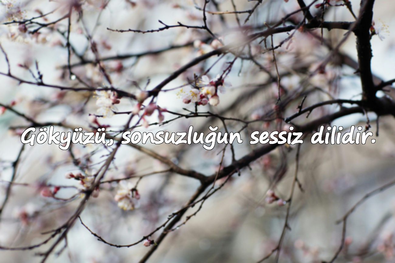 Gökyüzü, sonsuzluğun sessiz dilidir.