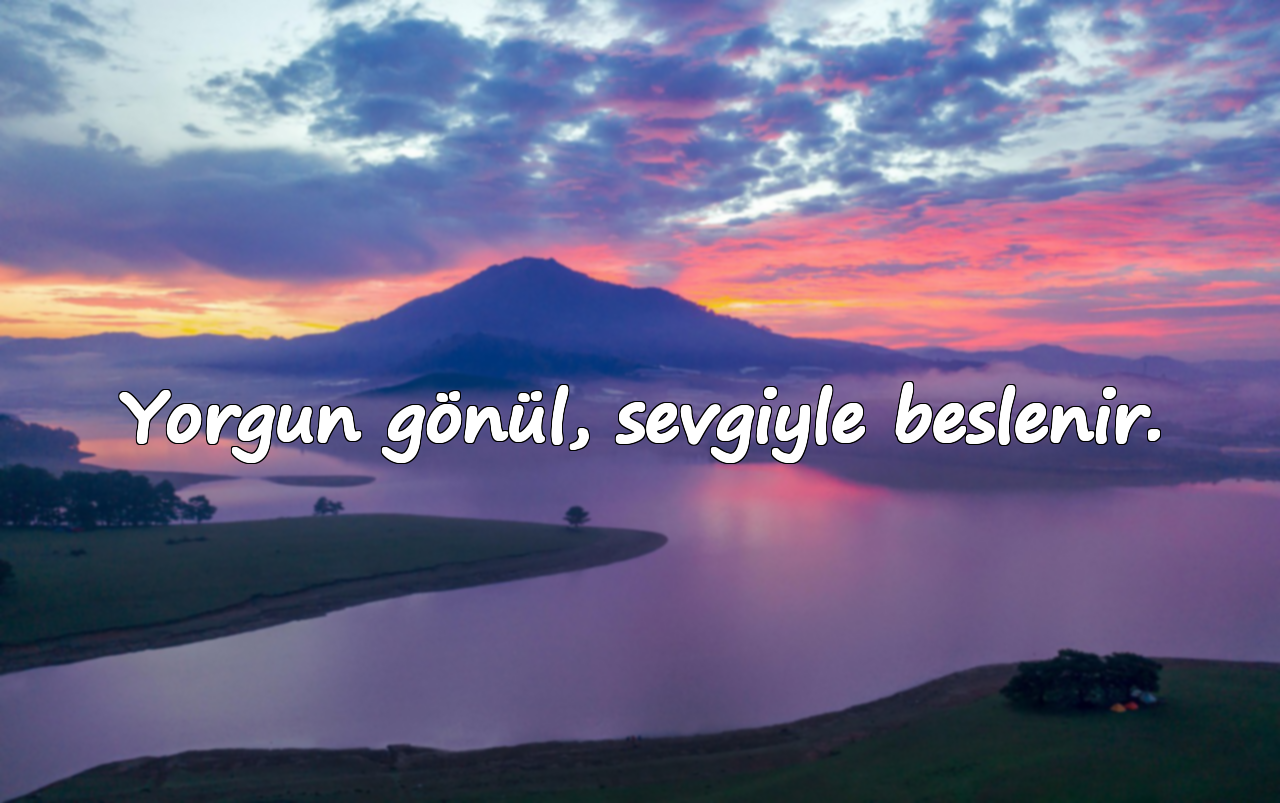 Yorgun gönül, sevgiyle beslenir.