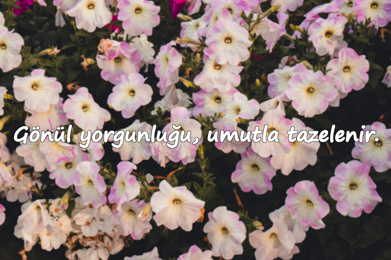 Gönül yorgunluğu, umutla tazelenir.