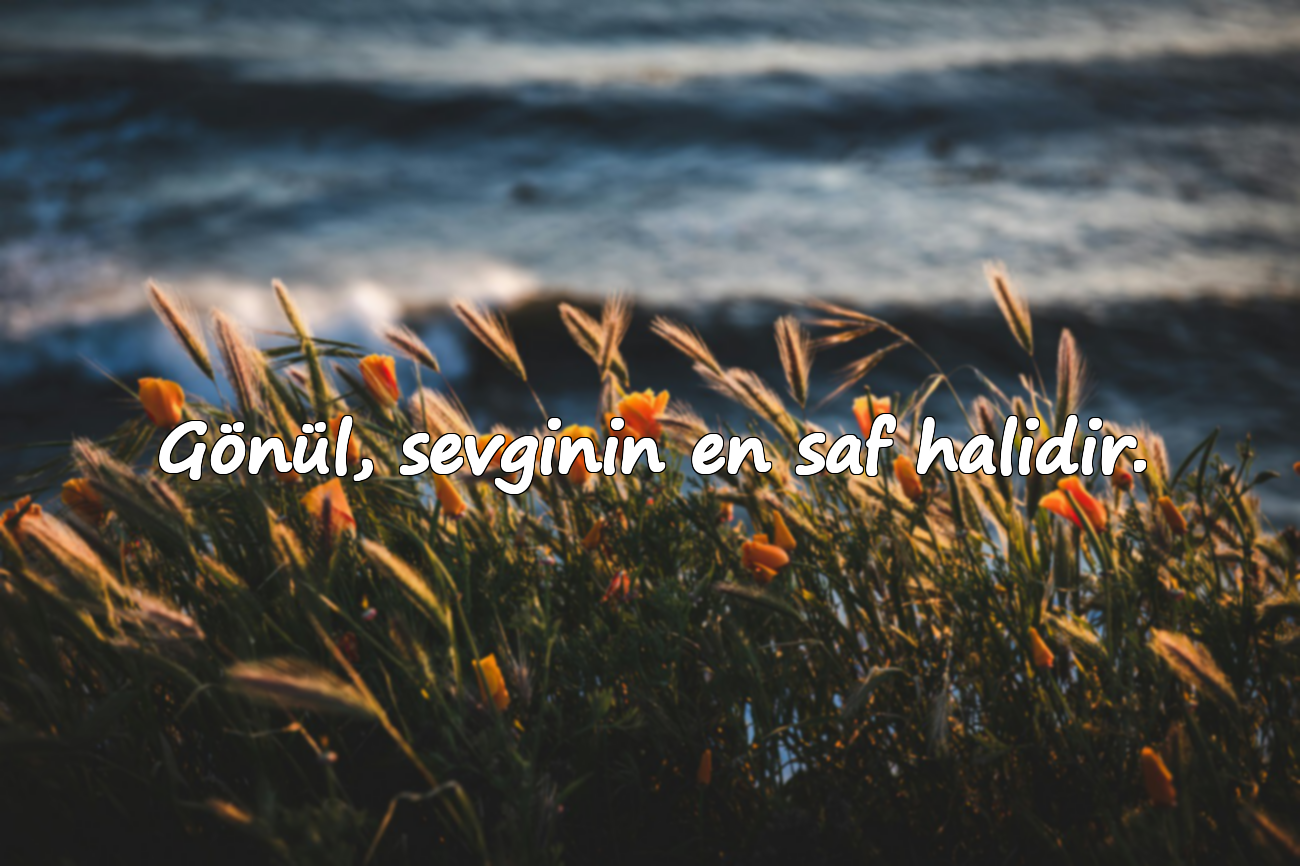Gönül, sevginin en saf halidir.