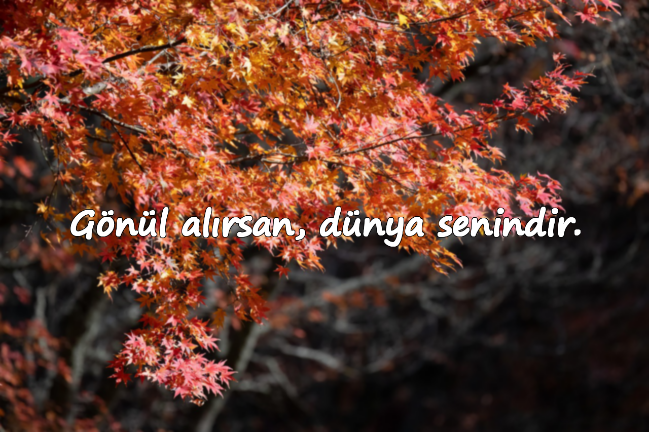 Gönül alırsan, dünya senindir.