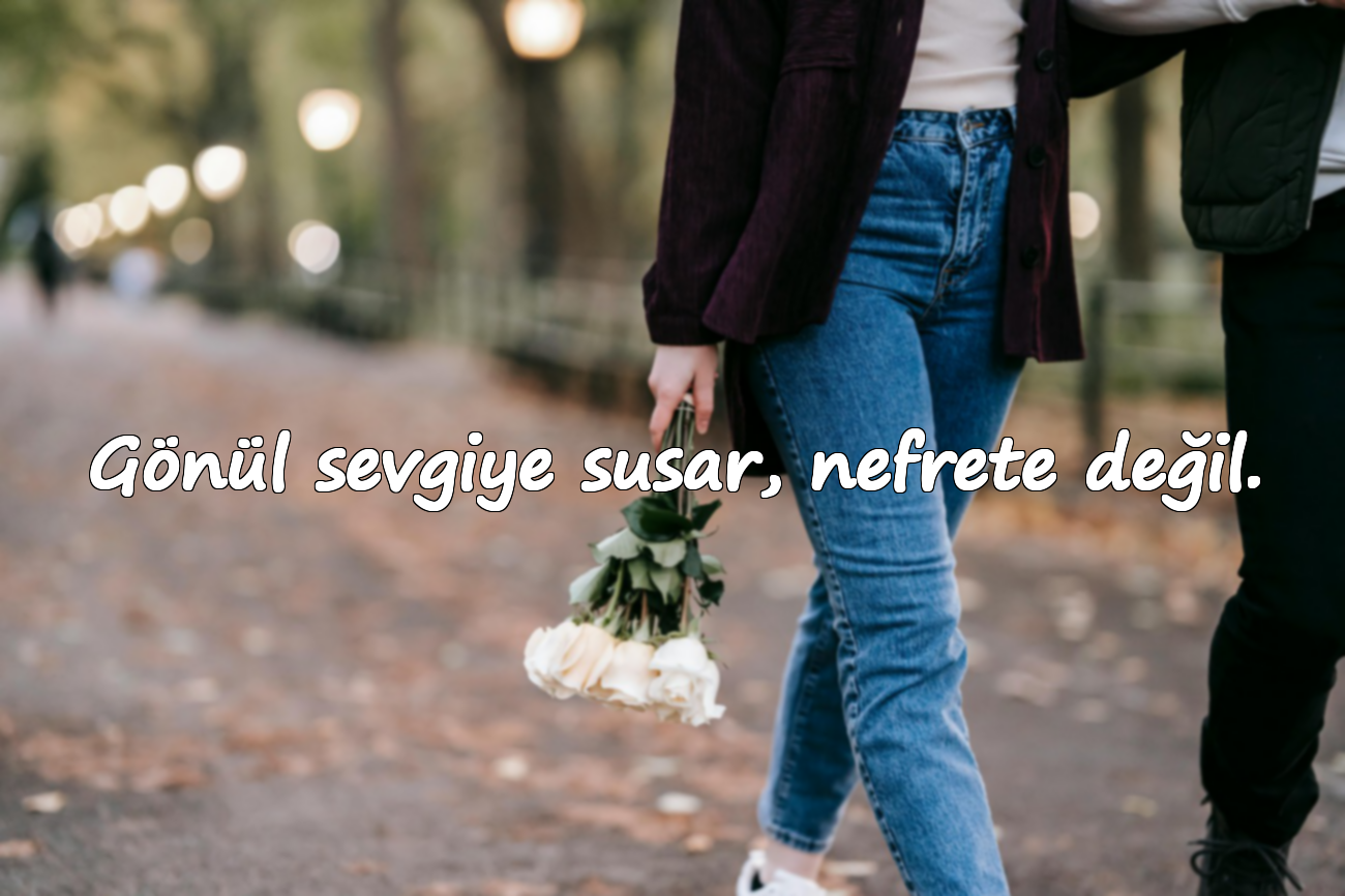 Gönül sevgiye susar, nefrete değil.