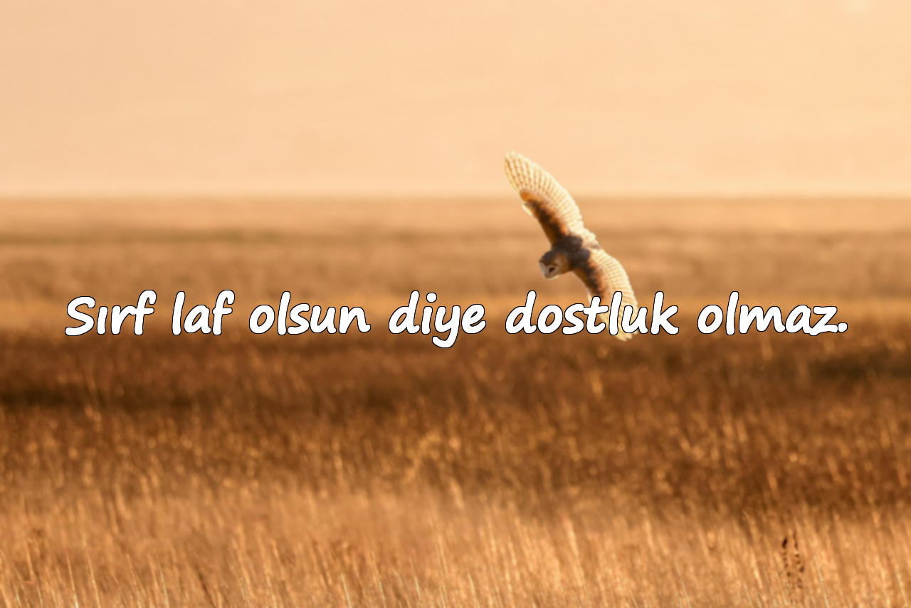 Sırf laf olsun diye dostluk olmaz.