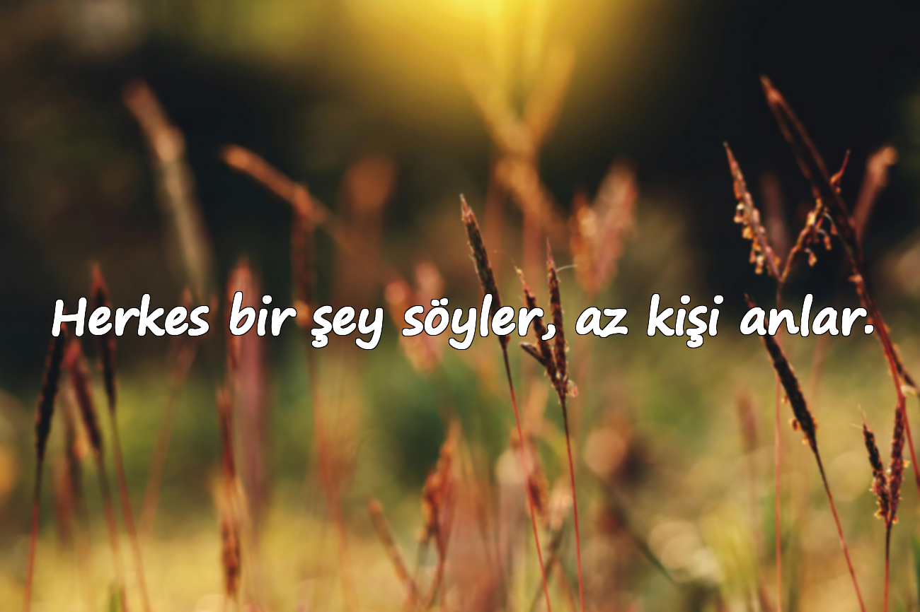 Herkes bir şey söyler, az kişi anlar.
