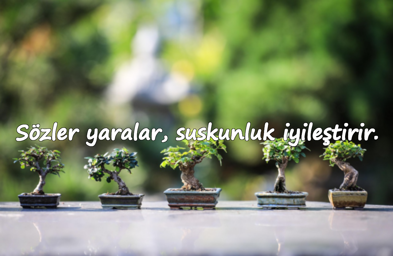 Sözler yaralar, suskunluk iyileştirir.