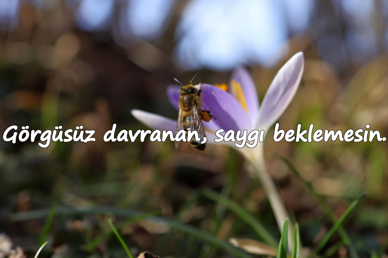 Görgüsüz davranan, saygı beklemesin.