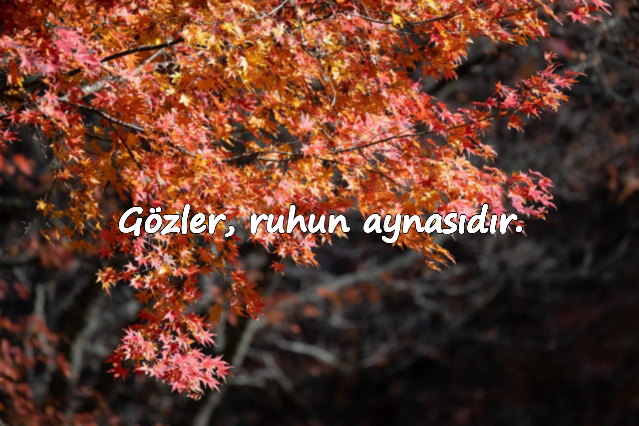 Gözler, ruhun aynasıdır.