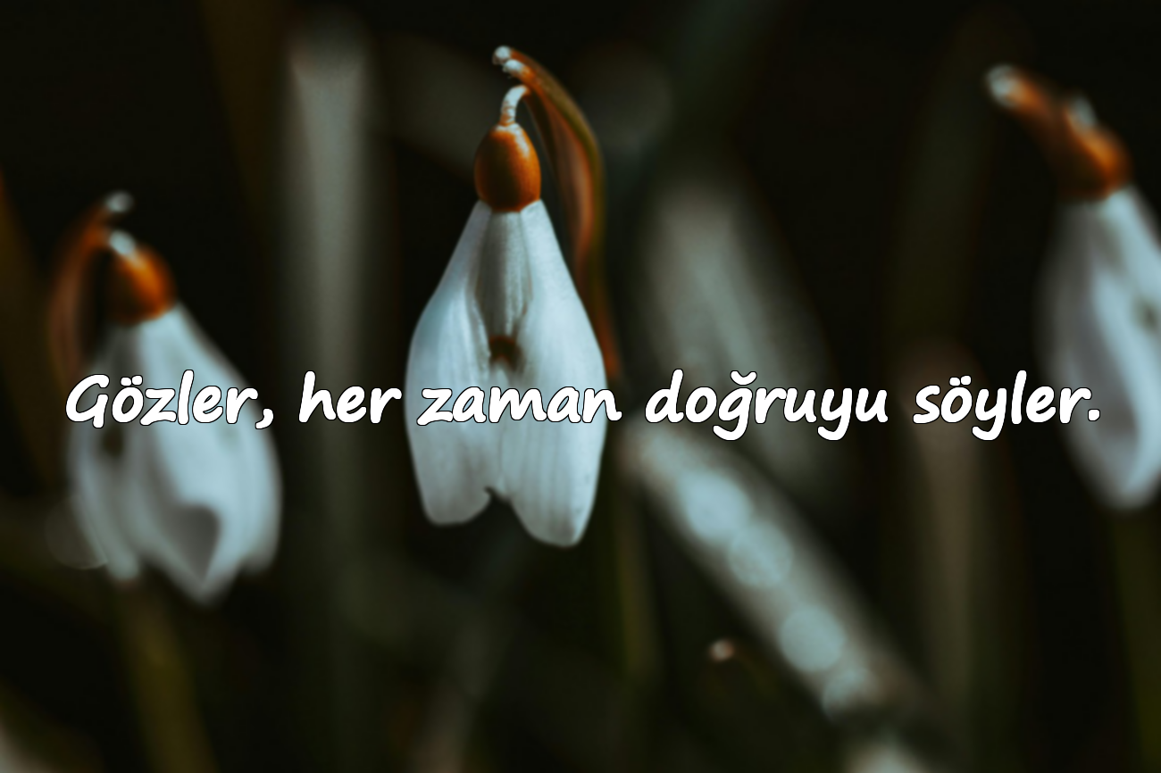 Gözler, her zaman doğruyu söyler.