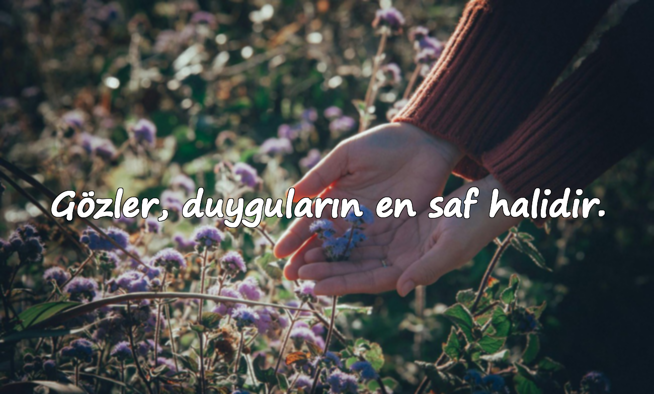 Gözler, duyguların en saf halidir.