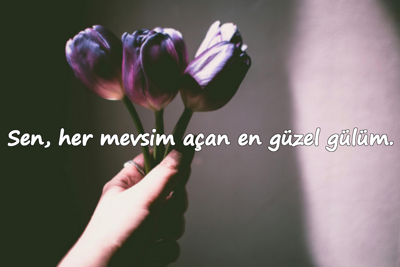 Sen, her mevsim açan en güzel gülüm.