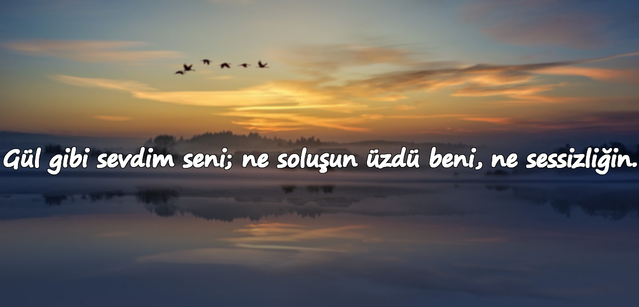 Gül gibi sevdim seni; ne soluşun üzdü beni, ne sessizliğin.