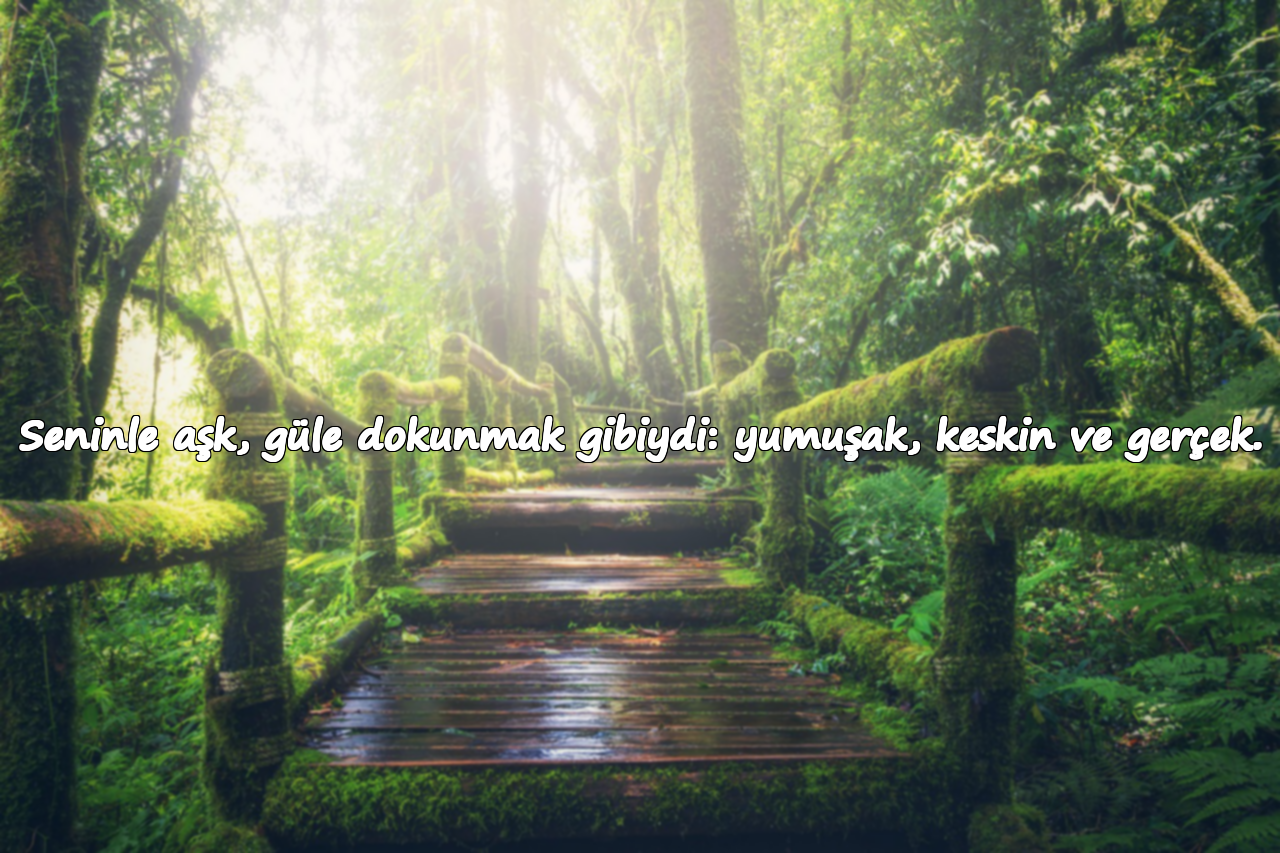 Seninle aşk, güle dokunmak gibiydi: yumuşak, keskin ve gerçek.