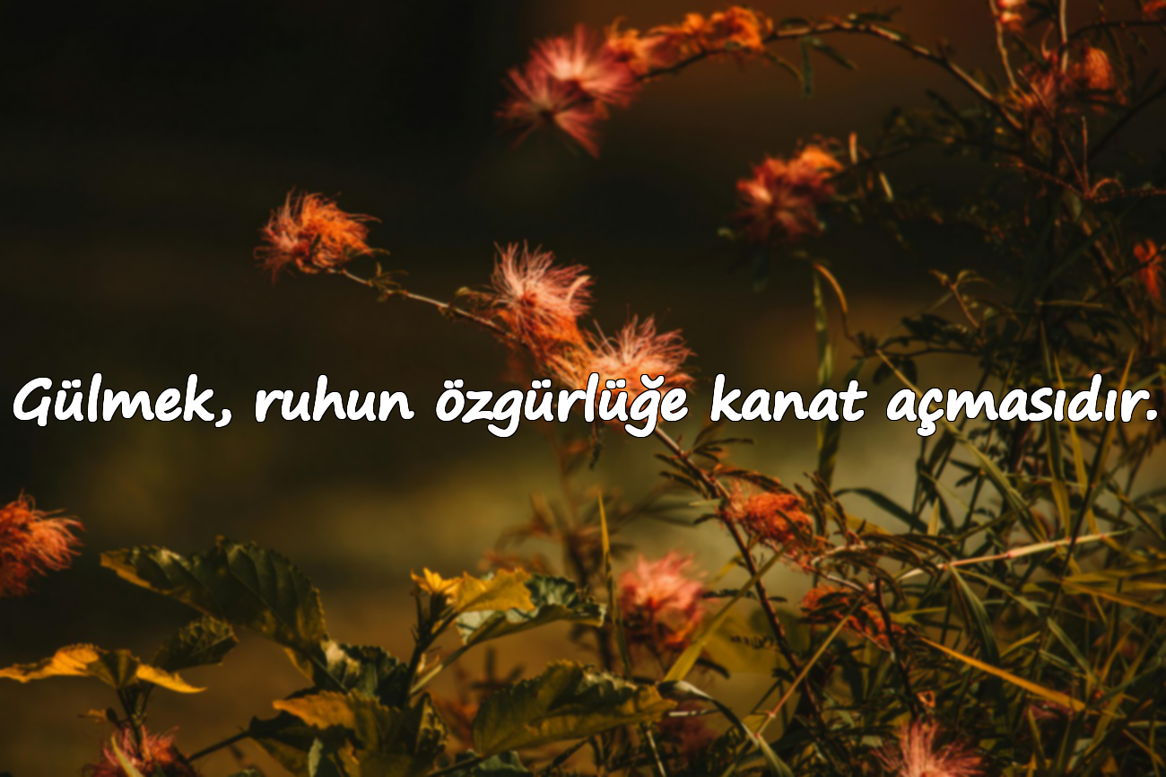 Gülmek, ruhun özgürlüğe kanat açmasıdır.