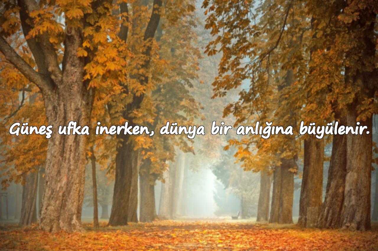 Güneş ufka inerken, dünya bir anlığına büyülenir.