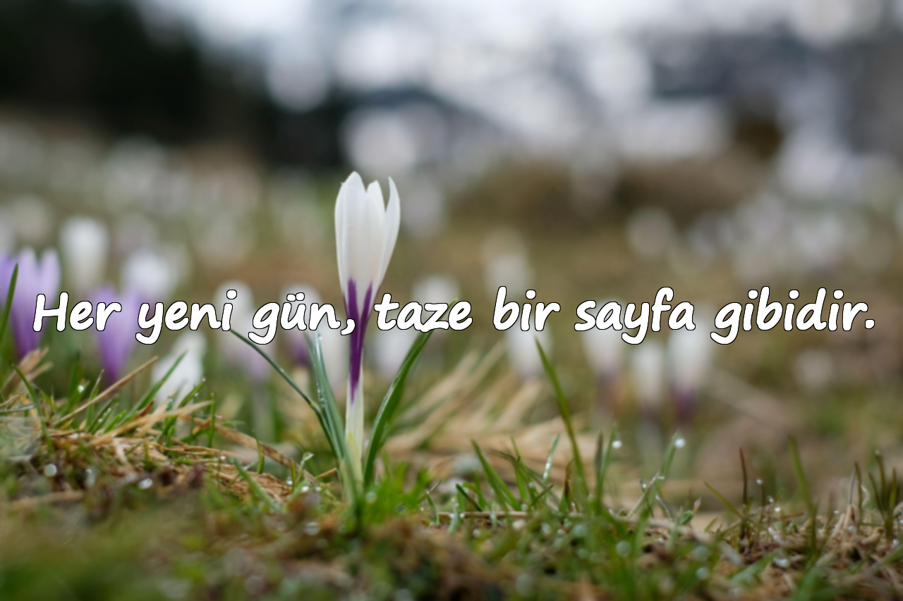 Her yeni gün, taze bir sayfa gibidir.