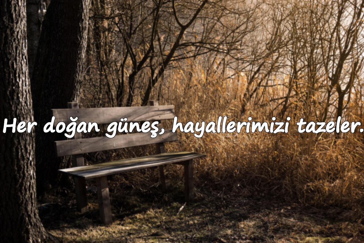 Her doğan güneş, hayallerimizi tazeler.