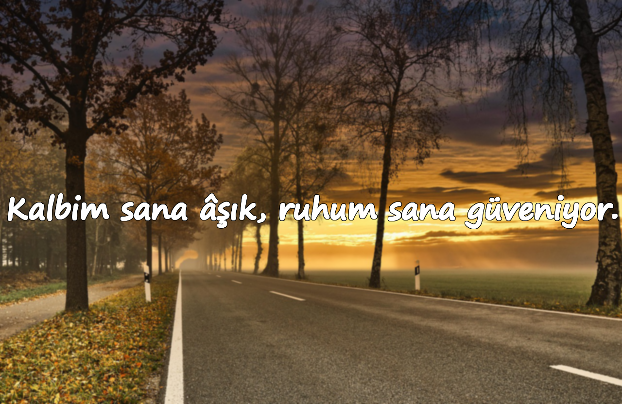 Kalbim sana âşık, ruhum sana güveniyor.