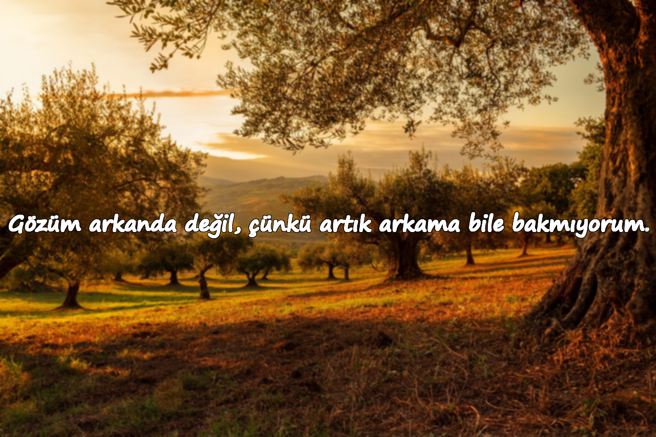 Gözüm arkanda değil, çünkü artık arkama bile bakmıyorum.