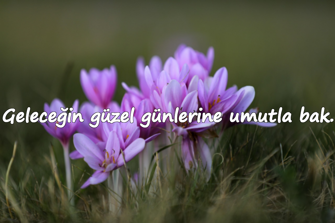 Geleceğin güzel günlerine umutla bak.