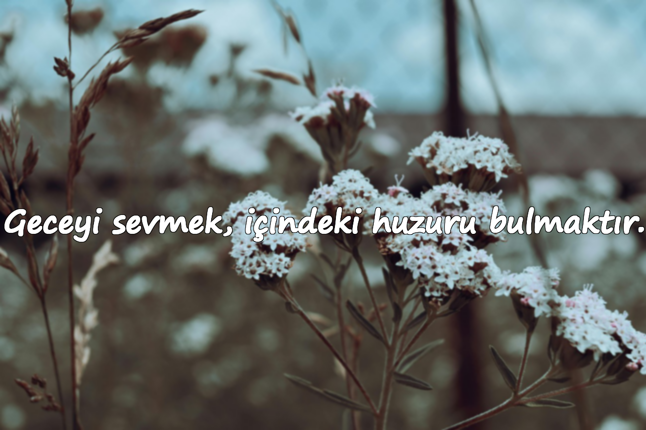Geceyi sevmek, içindeki huzuru bulmaktır.