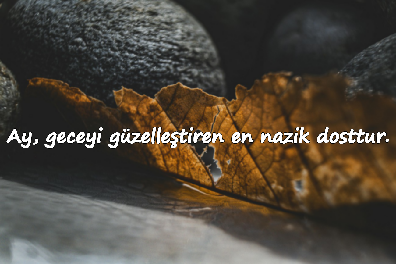 Ay, geceyi güzelleştiren en nazik dosttur.