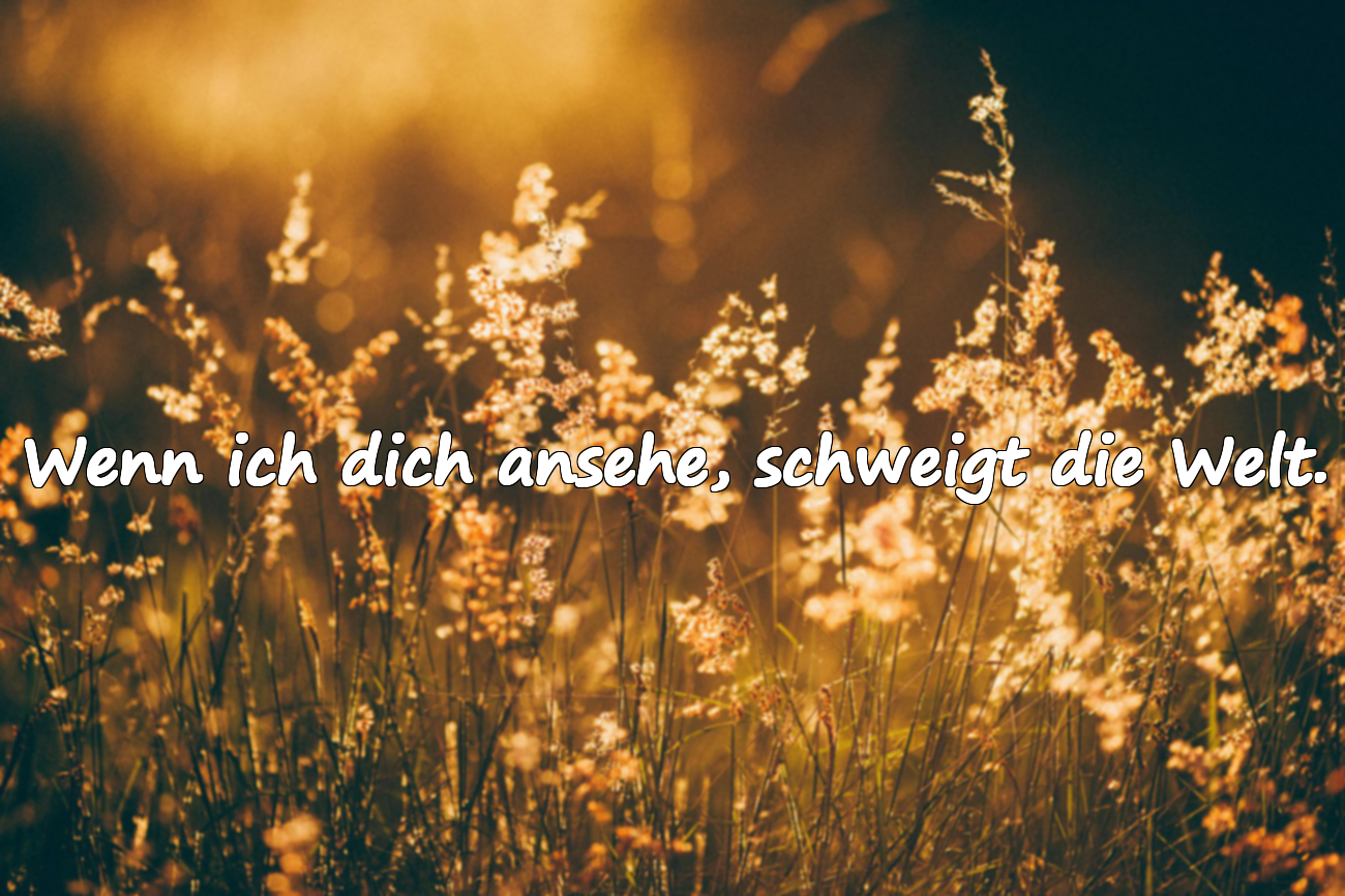 Gefühlvolle Liebeszitate