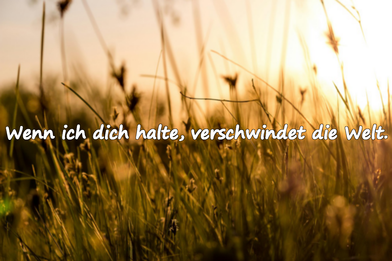 Gefühlvolle Liebeszitate