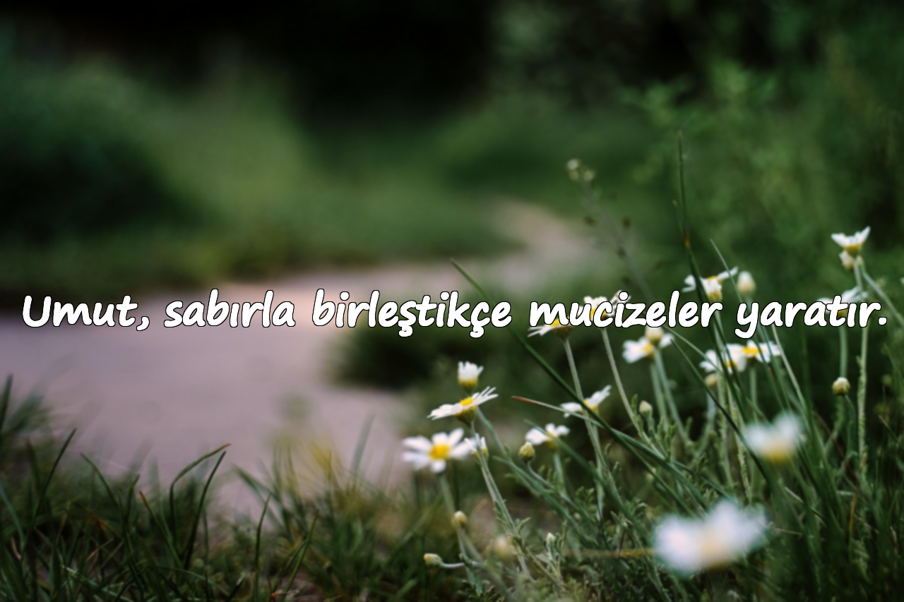 Umut, sabırla birleştikçe mucizeler yaratır.