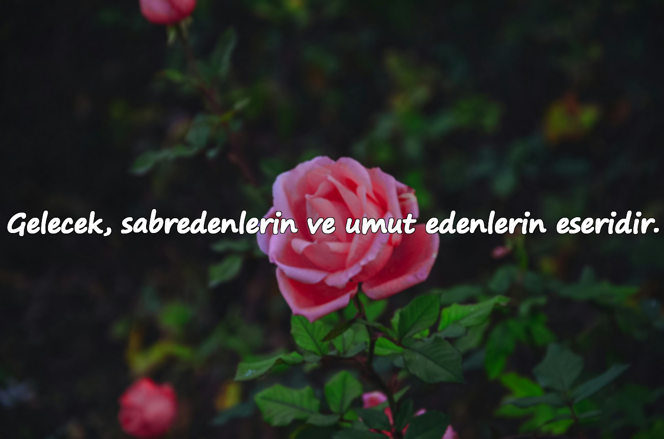 Gelecek, sabredenlerin ve umut edenlerin eseridir.