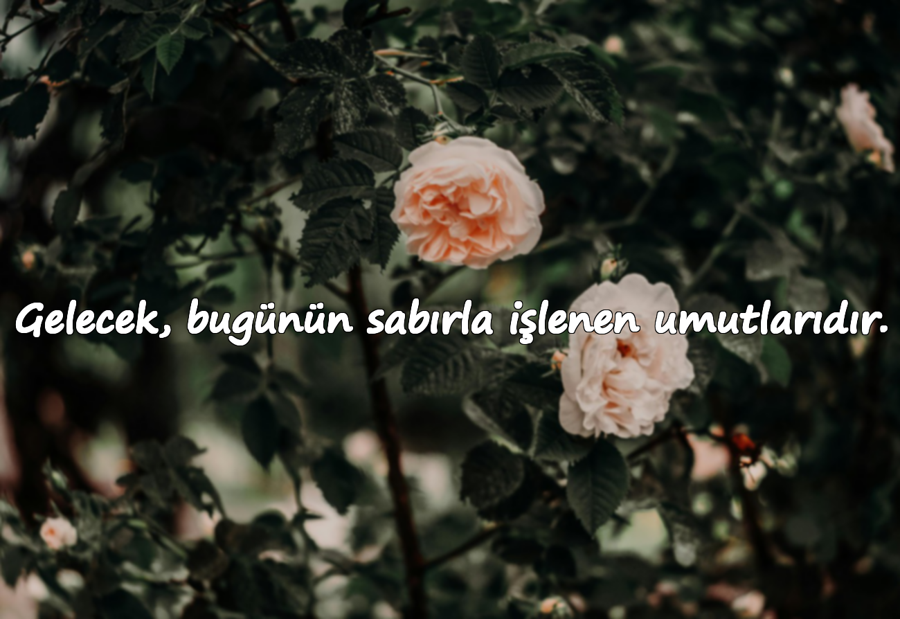 Gelecek, bugünün sabırla işlenen umutlarıdır.