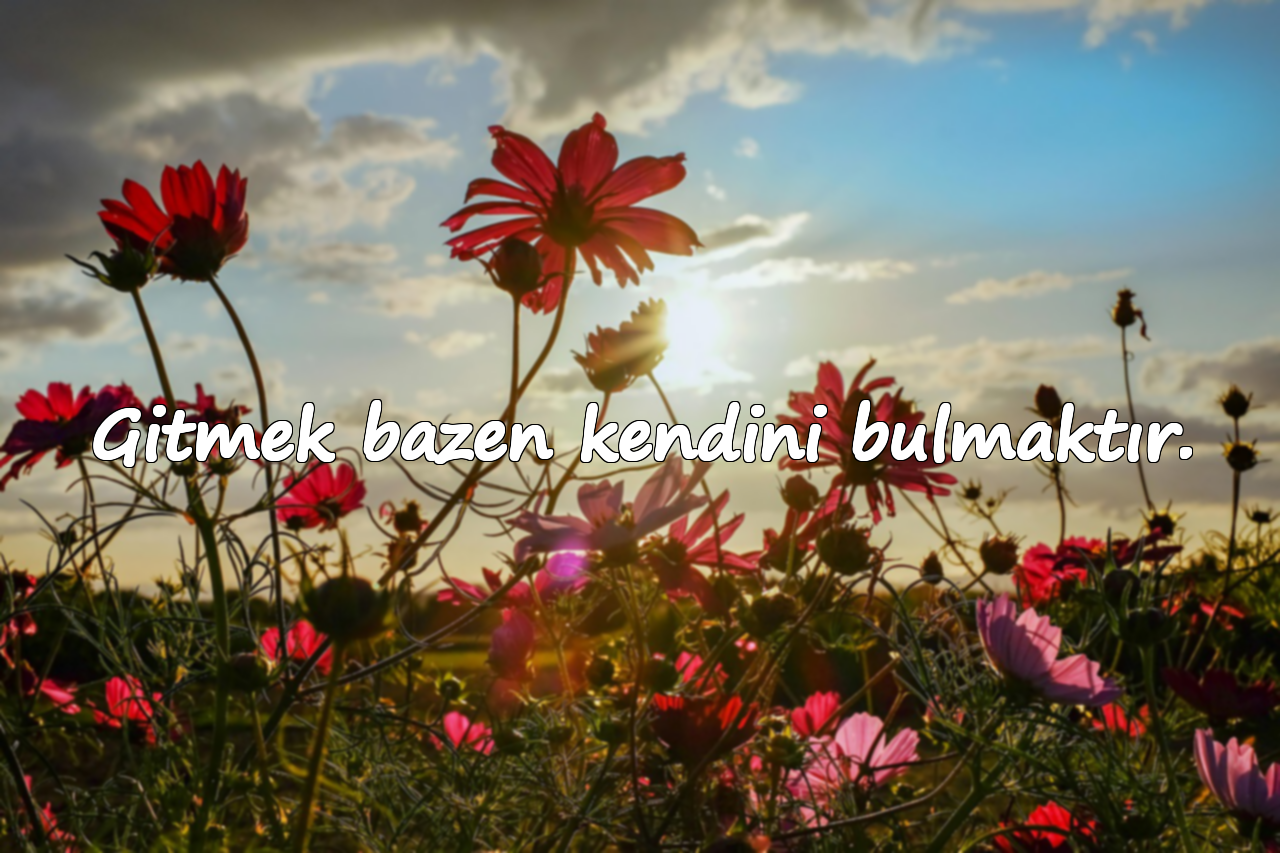 Gitmek bazen kendini bulmaktır.