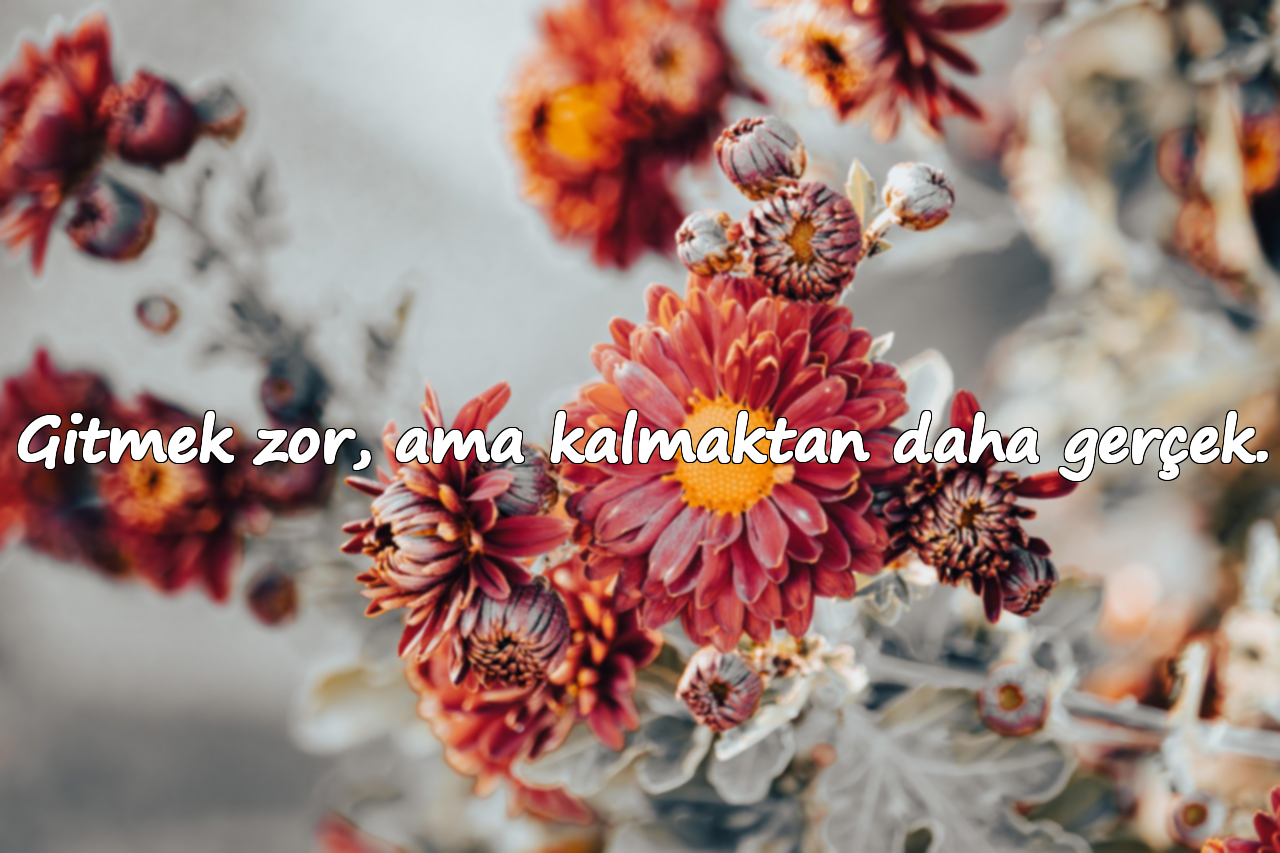 Gitmek zor, ama kalmaktan daha gerçek.