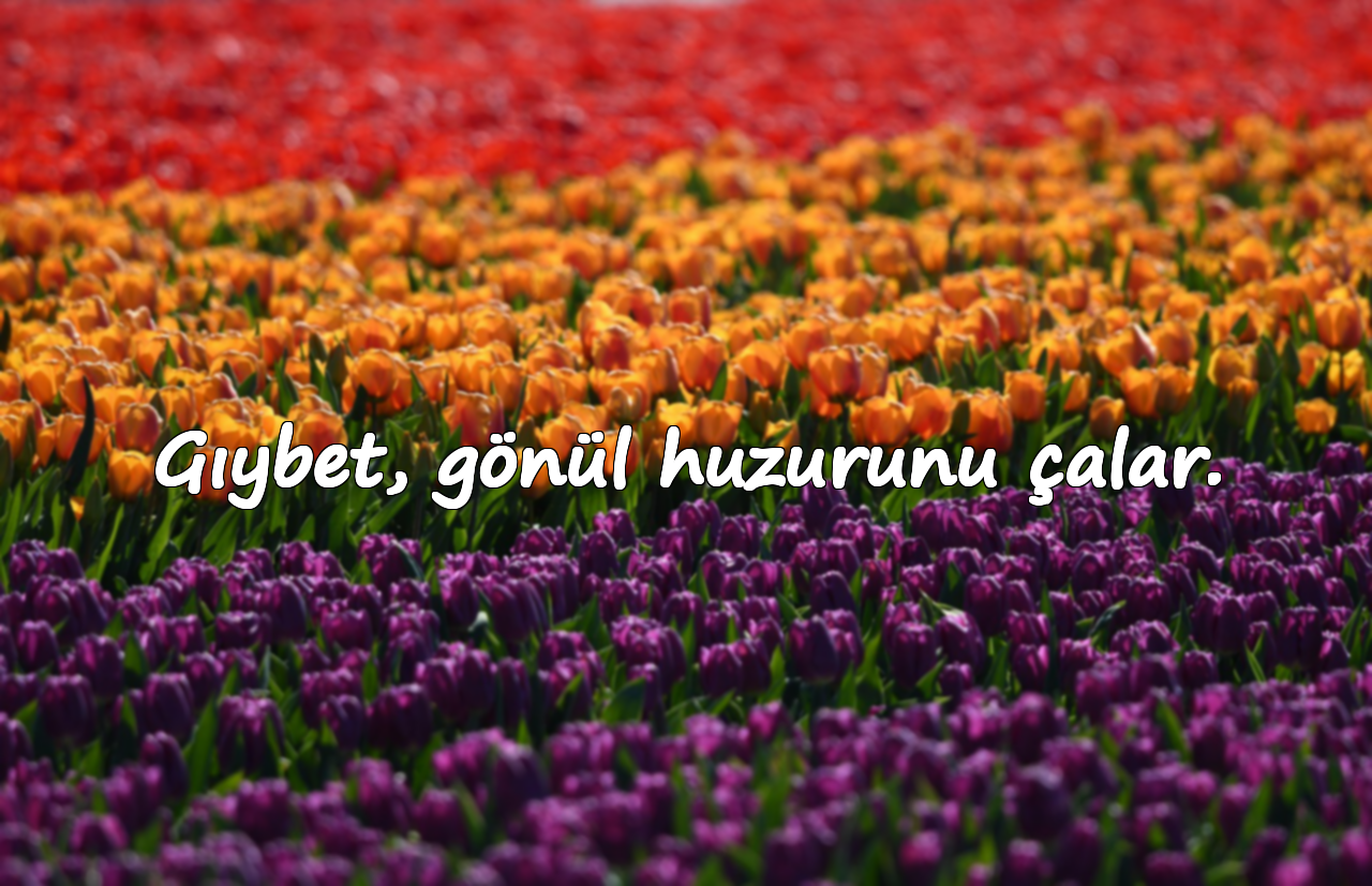 Gıybet, gönül huzurunu çalar.