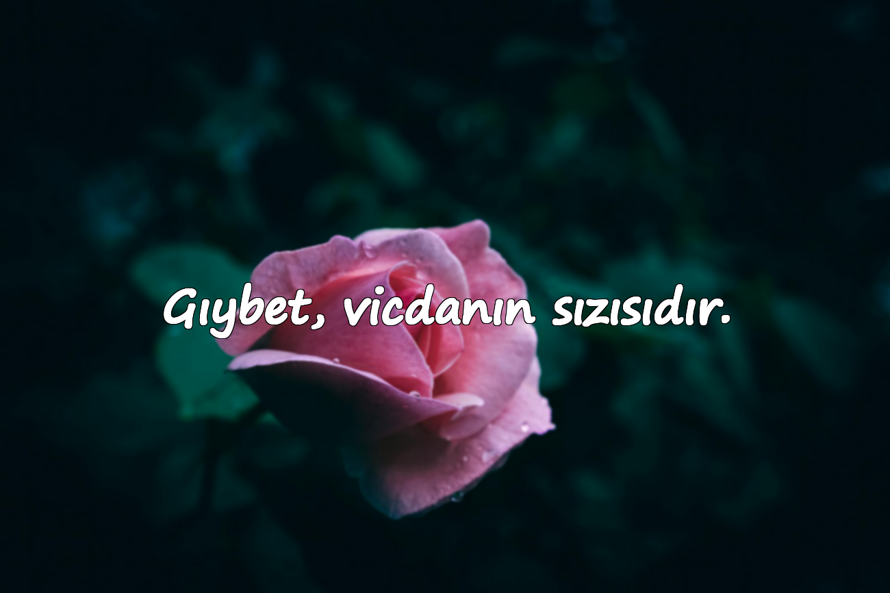 Gıybet, vicdanın sızısıdır.